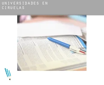 Universidades en  Ciruelas