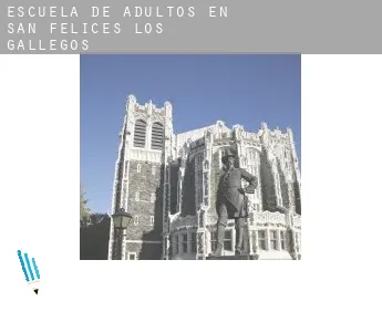 Escuela de adultos en  San Felices de los Gallegos