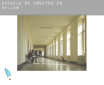 Escuela de adultos en  Ayllón
