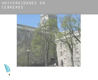 Universidades en Cebreros