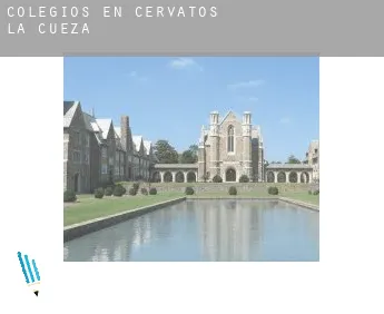 Colegios en  Cervatos de la Cueza