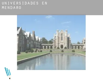 Universidades en  Mendaro