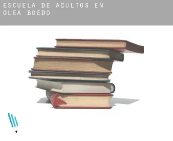 Escuela de adultos en  Olea de Boedo