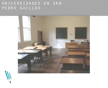 Universidades en  San Pedro de Gaíllos