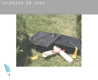 Colegios en  Cosa