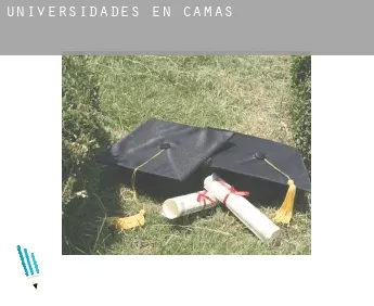 Universidades en  Camas