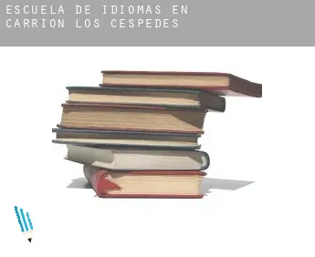 Escuela de idiomas en  Carrión de los Céspedes