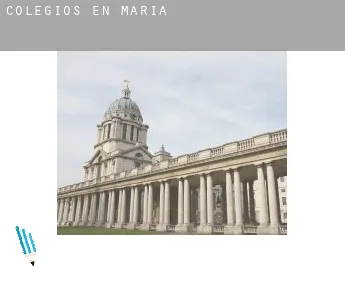 Colegios en  María