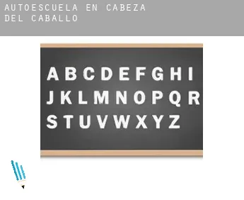 Autoescuela en  Cabeza del Caballo