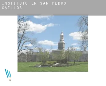Instituto en  San Pedro de Gaíllos
