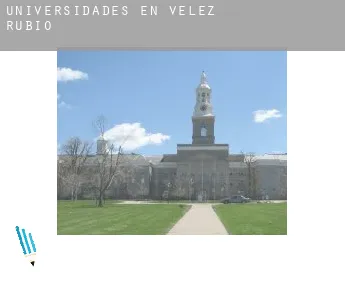 Universidades en  Velez Rubio