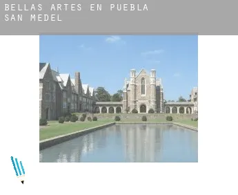 Bellas artes en  Puebla de San Medel