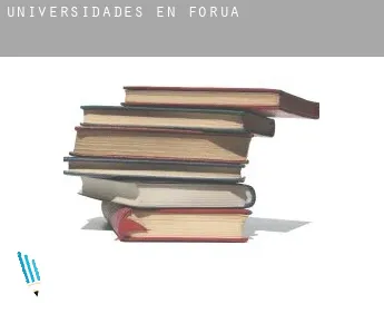 Universidades en  Forua