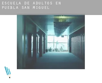 Escuela de adultos en  Puebla de San Miguel