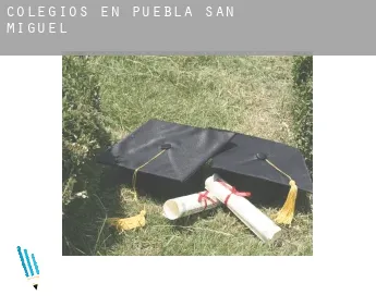 Colegios en  Puebla de San Miguel