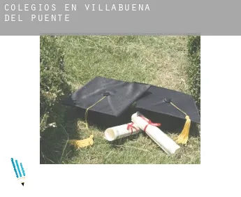 Colegios en  Villabuena del Puente