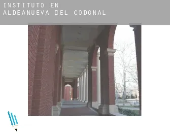 Instituto en  Aldeanueva del Codonal