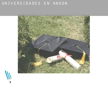 Universidades en  Angón