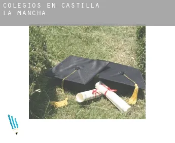 Colegios en  Castilla-La Mancha