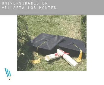 Universidades en  Villarta de los Montes