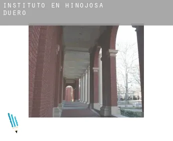 Instituto en  Hinojosa de Duero
