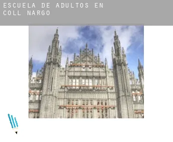 Escuela de adultos en  Coll de Nargó